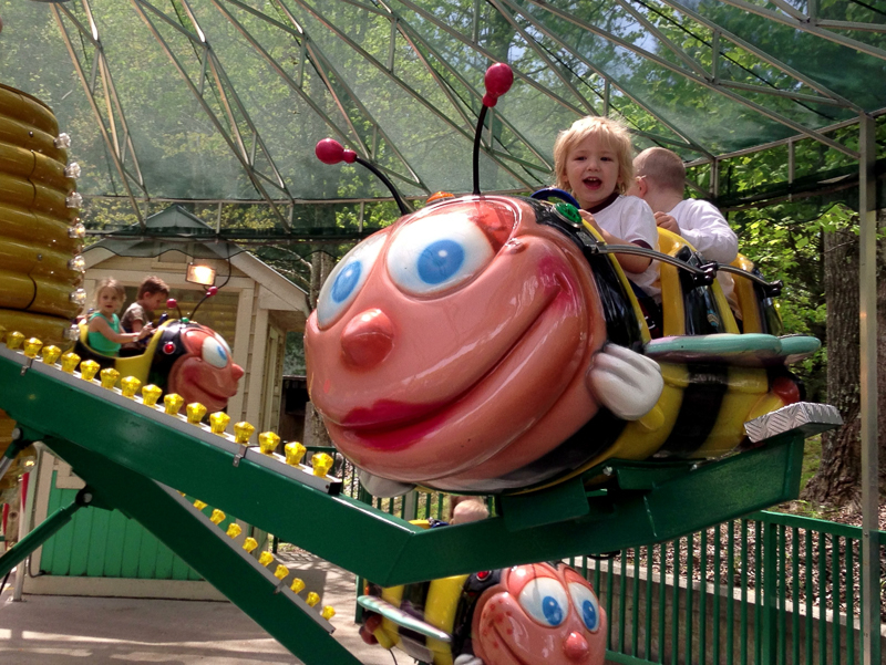 Busy Bees - Dollywood